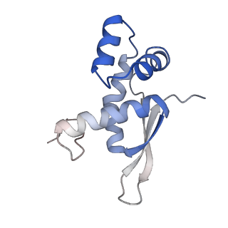 21634_6wdf_n_v2-2
Cryo-EM of elongating ribosome with EF-Tu*GTP elucidates tRNA proofreading (Cognate Structure VI-A)