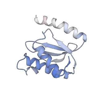 21634_6wdf_o_v1-2
Cryo-EM of elongating ribosome with EF-Tu*GTP elucidates tRNA proofreading (Cognate Structure VI-A)