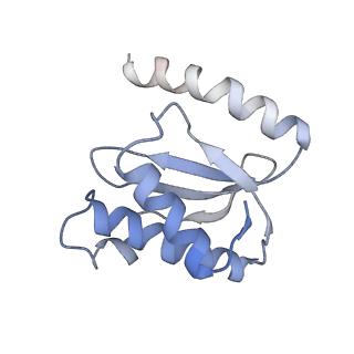 21634_6wdf_o_v2-2
Cryo-EM of elongating ribosome with EF-Tu*GTP elucidates tRNA proofreading (Cognate Structure VI-A)