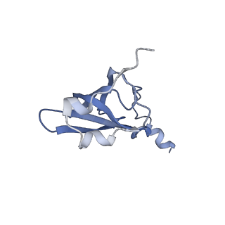21634_6wdf_p_v1-2
Cryo-EM of elongating ribosome with EF-Tu*GTP elucidates tRNA proofreading (Cognate Structure VI-A)