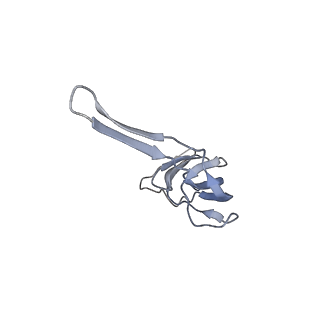 21634_6wdf_r_v2-2
Cryo-EM of elongating ribosome with EF-Tu*GTP elucidates tRNA proofreading (Cognate Structure VI-A)