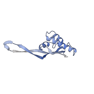 21634_6wdf_s_v1-2
Cryo-EM of elongating ribosome with EF-Tu*GTP elucidates tRNA proofreading (Cognate Structure VI-A)