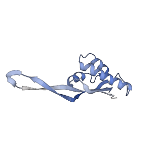 21634_6wdf_s_v2-2
Cryo-EM of elongating ribosome with EF-Tu*GTP elucidates tRNA proofreading (Cognate Structure VI-A)