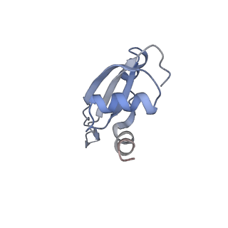 21634_6wdf_t_v1-2
Cryo-EM of elongating ribosome with EF-Tu*GTP elucidates tRNA proofreading (Cognate Structure VI-A)