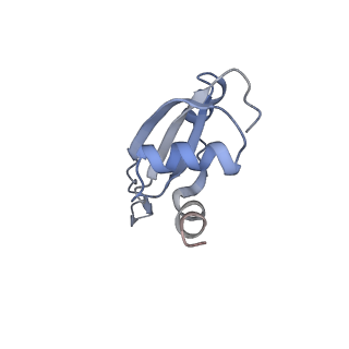 21634_6wdf_t_v2-2
Cryo-EM of elongating ribosome with EF-Tu*GTP elucidates tRNA proofreading (Cognate Structure VI-A)