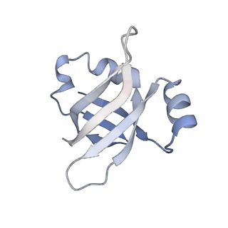 21634_6wdf_v_v1-2
Cryo-EM of elongating ribosome with EF-Tu*GTP elucidates tRNA proofreading (Cognate Structure VI-A)