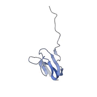 21634_6wdf_w_v1-2
Cryo-EM of elongating ribosome with EF-Tu*GTP elucidates tRNA proofreading (Cognate Structure VI-A)