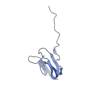 21634_6wdf_w_v2-2
Cryo-EM of elongating ribosome with EF-Tu*GTP elucidates tRNA proofreading (Cognate Structure VI-A)