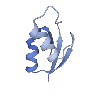 21634_6wdf_z_v1-2
Cryo-EM of elongating ribosome with EF-Tu*GTP elucidates tRNA proofreading (Cognate Structure VI-A)