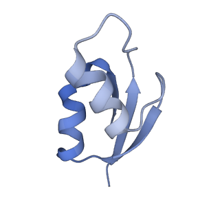 21634_6wdf_z_v2-0
Cryo-EM of elongating ribosome with EF-Tu*GTP elucidates tRNA proofreading (Cognate Structure VI-A)