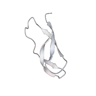 21635_6wdg_C_v2-2
Cryo-EM of elongating ribosome with EF-Tu*GTP elucidates tRNA proofreading (Cognate Structure VI-B)