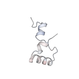 21635_6wdg_D_v1-2
Cryo-EM of elongating ribosome with EF-Tu*GTP elucidates tRNA proofreading (Cognate Structure VI-B)