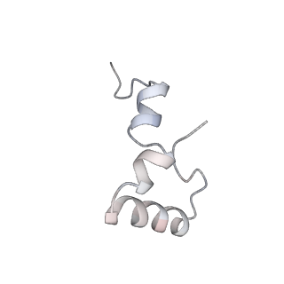 21635_6wdg_D_v2-0
Cryo-EM of elongating ribosome with EF-Tu*GTP elucidates tRNA proofreading (Cognate Structure VI-B)