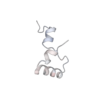 21635_6wdg_D_v2-2
Cryo-EM of elongating ribosome with EF-Tu*GTP elucidates tRNA proofreading (Cognate Structure VI-B)