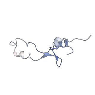 21635_6wdg_E_v1-2
Cryo-EM of elongating ribosome with EF-Tu*GTP elucidates tRNA proofreading (Cognate Structure VI-B)