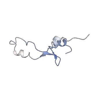 21635_6wdg_E_v2-2
Cryo-EM of elongating ribosome with EF-Tu*GTP elucidates tRNA proofreading (Cognate Structure VI-B)