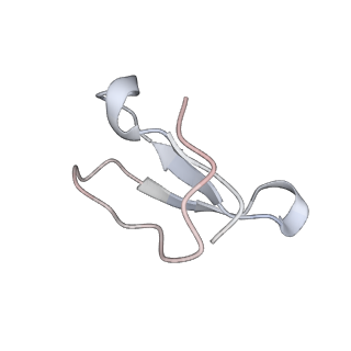 21635_6wdg_F_v2-2
Cryo-EM of elongating ribosome with EF-Tu*GTP elucidates tRNA proofreading (Cognate Structure VI-B)