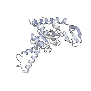 21635_6wdg_G_v1-2
Cryo-EM of elongating ribosome with EF-Tu*GTP elucidates tRNA proofreading (Cognate Structure VI-B)