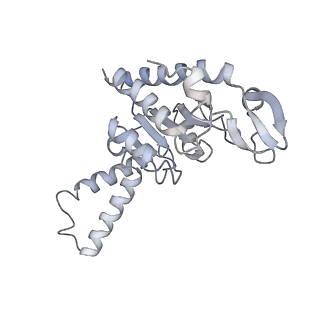 21635_6wdg_G_v2-2
Cryo-EM of elongating ribosome with EF-Tu*GTP elucidates tRNA proofreading (Cognate Structure VI-B)