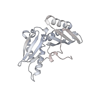 21635_6wdg_H_v1-2
Cryo-EM of elongating ribosome with EF-Tu*GTP elucidates tRNA proofreading (Cognate Structure VI-B)