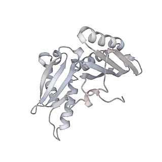 21635_6wdg_H_v2-2
Cryo-EM of elongating ribosome with EF-Tu*GTP elucidates tRNA proofreading (Cognate Structure VI-B)