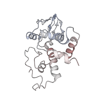 21635_6wdg_I_v1-2
Cryo-EM of elongating ribosome with EF-Tu*GTP elucidates tRNA proofreading (Cognate Structure VI-B)