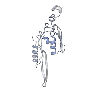 21635_6wdg_J_v1-2
Cryo-EM of elongating ribosome with EF-Tu*GTP elucidates tRNA proofreading (Cognate Structure VI-B)