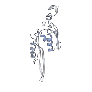 21635_6wdg_J_v2-2
Cryo-EM of elongating ribosome with EF-Tu*GTP elucidates tRNA proofreading (Cognate Structure VI-B)