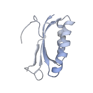 21635_6wdg_K_v1-2
Cryo-EM of elongating ribosome with EF-Tu*GTP elucidates tRNA proofreading (Cognate Structure VI-B)