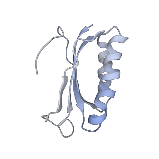 21635_6wdg_K_v2-2
Cryo-EM of elongating ribosome with EF-Tu*GTP elucidates tRNA proofreading (Cognate Structure VI-B)