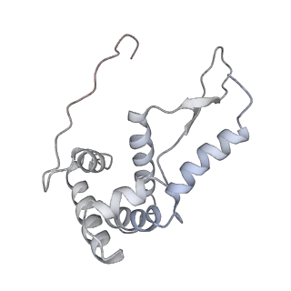 21635_6wdg_L_v1-2
Cryo-EM of elongating ribosome with EF-Tu*GTP elucidates tRNA proofreading (Cognate Structure VI-B)