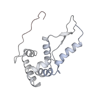 21635_6wdg_L_v2-0
Cryo-EM of elongating ribosome with EF-Tu*GTP elucidates tRNA proofreading (Cognate Structure VI-B)