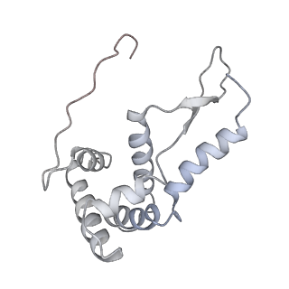21635_6wdg_L_v2-2
Cryo-EM of elongating ribosome with EF-Tu*GTP elucidates tRNA proofreading (Cognate Structure VI-B)