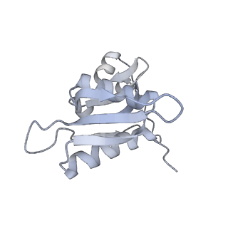 21635_6wdg_M_v1-2
Cryo-EM of elongating ribosome with EF-Tu*GTP elucidates tRNA proofreading (Cognate Structure VI-B)