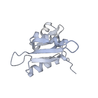 21635_6wdg_M_v2-2
Cryo-EM of elongating ribosome with EF-Tu*GTP elucidates tRNA proofreading (Cognate Structure VI-B)