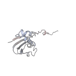 21635_6wdg_N_v1-2
Cryo-EM of elongating ribosome with EF-Tu*GTP elucidates tRNA proofreading (Cognate Structure VI-B)