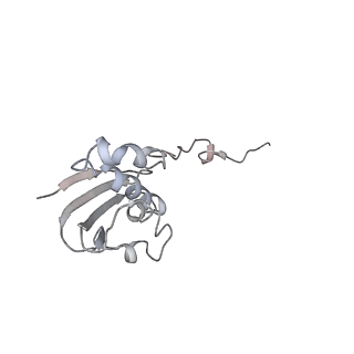 21635_6wdg_N_v2-2
Cryo-EM of elongating ribosome with EF-Tu*GTP elucidates tRNA proofreading (Cognate Structure VI-B)