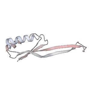 21635_6wdg_O_v2-2
Cryo-EM of elongating ribosome with EF-Tu*GTP elucidates tRNA proofreading (Cognate Structure VI-B)