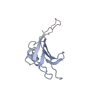 21635_6wdg_P_v1-2
Cryo-EM of elongating ribosome with EF-Tu*GTP elucidates tRNA proofreading (Cognate Structure VI-B)