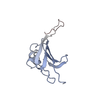 21635_6wdg_P_v2-2
Cryo-EM of elongating ribosome with EF-Tu*GTP elucidates tRNA proofreading (Cognate Structure VI-B)