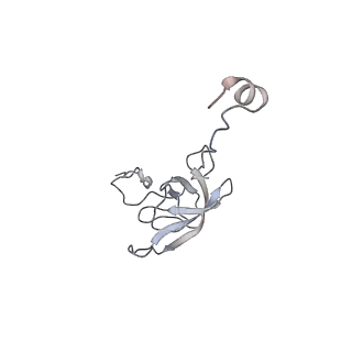 21635_6wdg_Q_v1-2
Cryo-EM of elongating ribosome with EF-Tu*GTP elucidates tRNA proofreading (Cognate Structure VI-B)