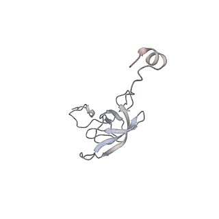 21635_6wdg_Q_v2-2
Cryo-EM of elongating ribosome with EF-Tu*GTP elucidates tRNA proofreading (Cognate Structure VI-B)