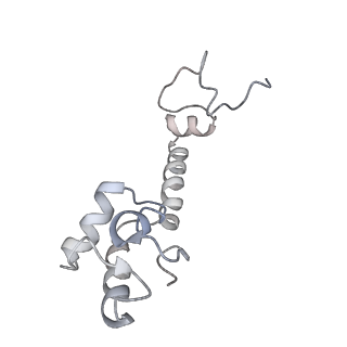 21635_6wdg_R_v1-2
Cryo-EM of elongating ribosome with EF-Tu*GTP elucidates tRNA proofreading (Cognate Structure VI-B)