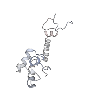 21635_6wdg_R_v2-2
Cryo-EM of elongating ribosome with EF-Tu*GTP elucidates tRNA proofreading (Cognate Structure VI-B)