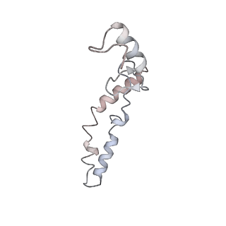 21635_6wdg_S_v1-2
Cryo-EM of elongating ribosome with EF-Tu*GTP elucidates tRNA proofreading (Cognate Structure VI-B)