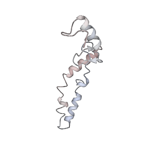 21635_6wdg_S_v2-2
Cryo-EM of elongating ribosome with EF-Tu*GTP elucidates tRNA proofreading (Cognate Structure VI-B)