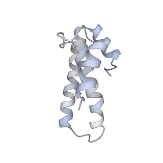 21635_6wdg_T_v1-2
Cryo-EM of elongating ribosome with EF-Tu*GTP elucidates tRNA proofreading (Cognate Structure VI-B)