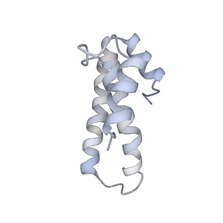 21635_6wdg_T_v2-2
Cryo-EM of elongating ribosome with EF-Tu*GTP elucidates tRNA proofreading (Cognate Structure VI-B)