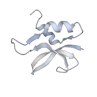 21635_6wdg_U_v2-2
Cryo-EM of elongating ribosome with EF-Tu*GTP elucidates tRNA proofreading (Cognate Structure VI-B)