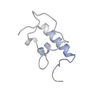 21635_6wdg_W_v2-2
Cryo-EM of elongating ribosome with EF-Tu*GTP elucidates tRNA proofreading (Cognate Structure VI-B)